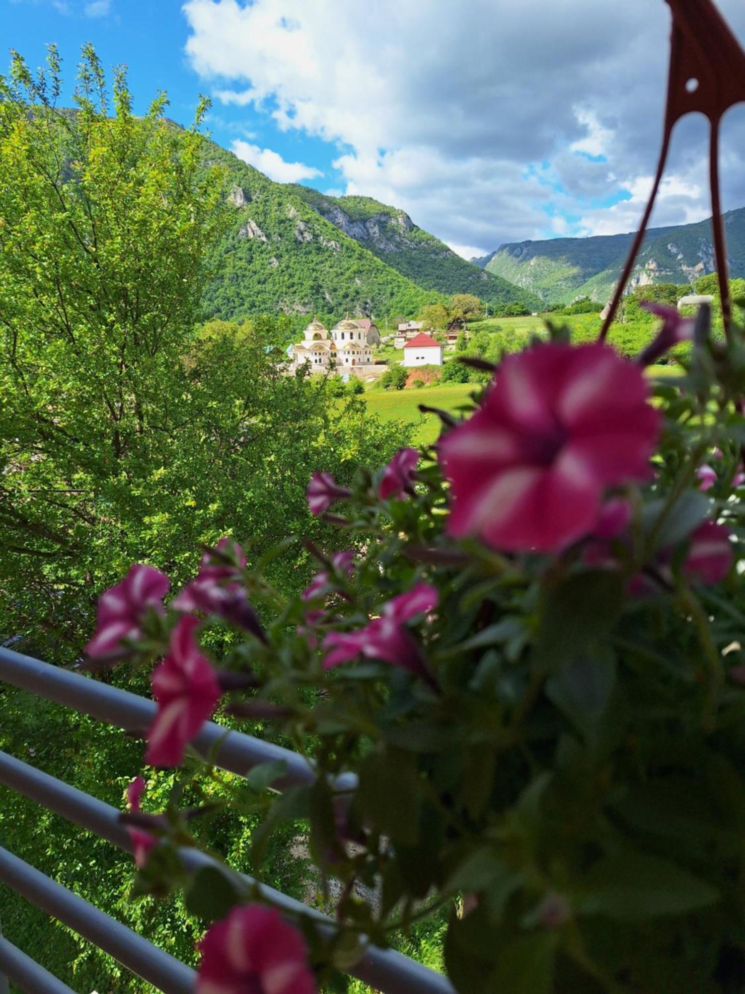 Apartmani Lena Plužine Exterior foto